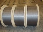 Hot Dipped Galvanized Wire for Stay Wire